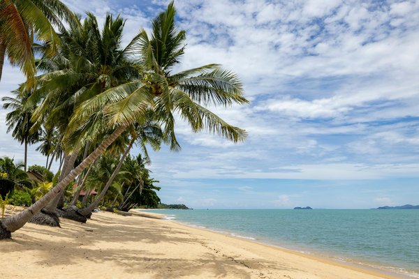 Slots De Jeu Gratuits Gagnez De L Argent Réel