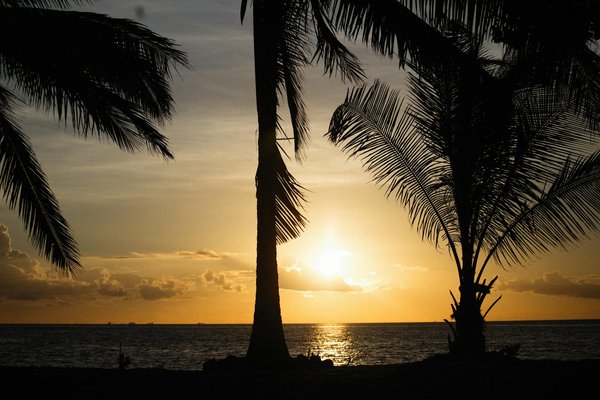 Statistique Roulette Rouge Noir