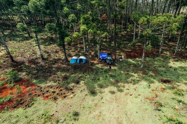 Roulette En Ligne Sérieux