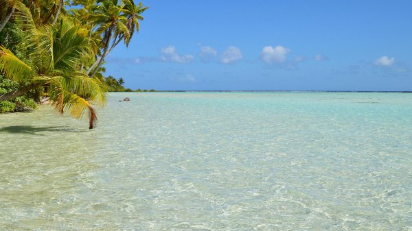 Yonibet Casino 50 Free Spins