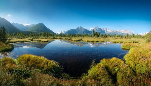 Slots Jeux De Casino En Ligne