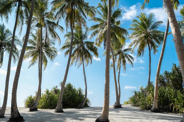 Slots Sans Argent Réel