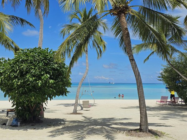 Sans Inscription Jeux De Casino