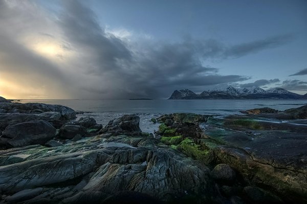 Systeme Reducteur Lotofoot