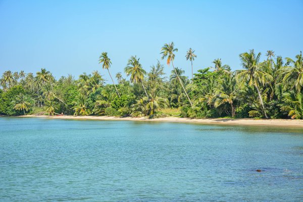 Résultats Du Loto De Samedi Dernier