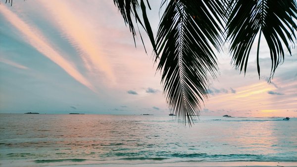 Wonaco Casino 50 Free Spins